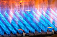 Llanfihangel Nant Bran gas fired boilers